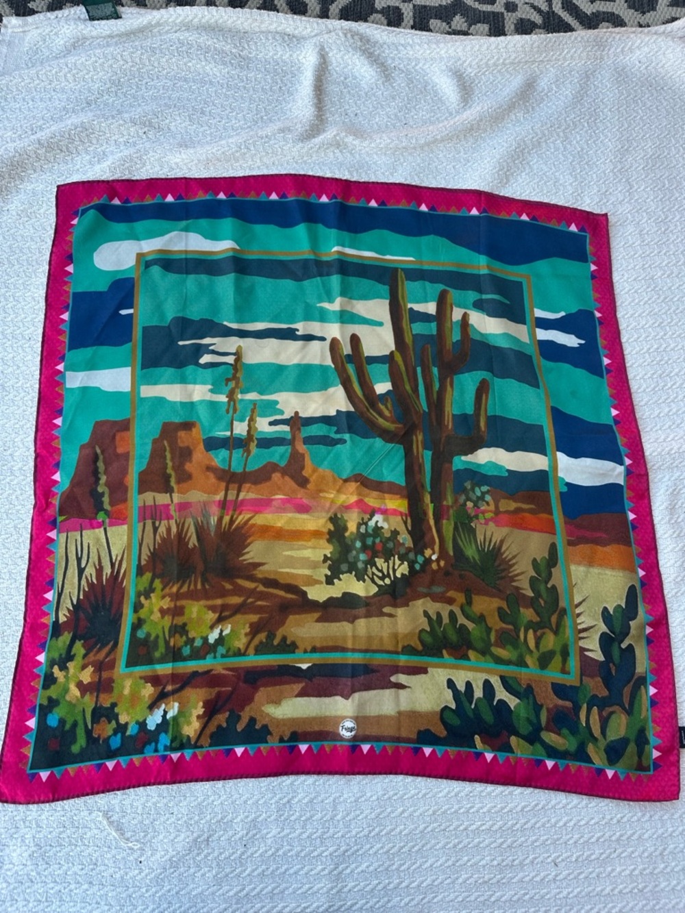 Fringe paint by numbers silk Scarf desert cactus